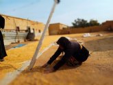 La población Siria se enfrenta al mayor riesgo de hambre de la década