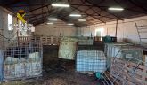 La Guardia Civil investiga a dos granjeros de Alhama de Murcia por el mal estado en el que se encontraba su ganado
