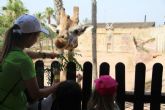 El parque zoológico municipal Terra Natura Murcia lanza una nueva edición de su Escuela de Primavera para acercar a los ni&ntilde;os a la naturaleza y la conservación
