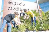 Estudiantes de la UPCT crean un mini jardn botnico de plantas autctonas en Espacio Mediterrneo