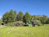 La Regin de Murcia certifica sus primeros crditos de carbono procedentes de gestin forestal