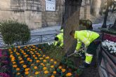 Yecla se viste de primavera con una espectacular cobertura de flores en la plaza de España