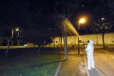 Jaque al pulgn en los ms de 20.000 rboles sensibles del municipio de Murcia