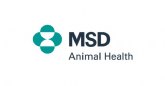 Los profesionales veterinarios de la UME, uno de los sectores encargados de la desinfeccin de espacios durante el COVID19