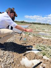 Lpez Miras solicita al Gobierno de España declarar zona catastrfica las reas de cultivo afectadas por el granizo