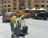 El Ayuntamiento de Cieza refuerza los trabajos de control de plagas en el municipio
