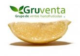 Gruventa subraya que los ctricos españoles tienen que avanzar en marketing on line