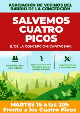 Los vecinos del barrio de la Concepcin dispuestos a salvar la pinada Cuatro Picos o Pico del guila