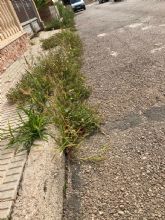 El PP denuncia el estado de degradacin al que el actual alcalde est sometiendo a los vecinos de Almendricos