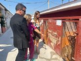 El Ayuntamiento de Murcia lanza una campana de no abandono y tenencia responsable de animales de compana