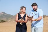 Casi 300 tortugas bobas han sido liberadas en la costa de la Regi�n de Murcia desde 2019