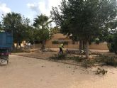 Desarrollo Sostenible continua con las labores de poda en el arbolado del termino municipal