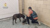 Detenido en Ceutí por estafar a propietarios de perros robados haciéndoles creer que conocía su paradero