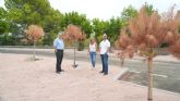 El modelo ambiental del PP en el Majal Blanco: cemento, asfalto y �rboles secos