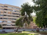 El PSOE exige un plan urgente de revisión del arbolado y la licitación inmediata del contrato de mantenimiento de jardines