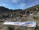 Un centenar de trabajadores de SABIC participan en la replantacin del Garbancillo de Tallante