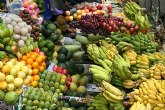 El precio de las frutas frescas, las prendas de vestir y el calzado de los niños y niñas se ha disparado en el mes de septiembre