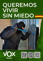 VOX pide la comparecencia de Enrique Lorca por los numerosos actos de violencia en Murcia