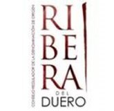 Ribera del Duero consigue aumentar en un 12% el volumen de recolecci�n de la temporada actual de vendimia