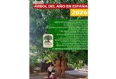 Murcia postula al 'Abuelo de la Huerta' como rbol del ano en Espana 2026