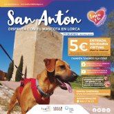 La concejala de Turismo celebra la festividad de San Antn adaptada a la situacin sanitaria actual para que se pueda realizar de forma digital este año