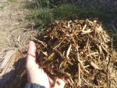 El Ayuntamiento de Molina de Segura pone en marcha un servicio de información para evitar las quemas agrícolas