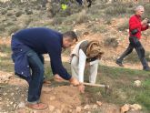 La CARM premia el proyecto de repoblacin forestal en el castillo desarrollado por el grupo senderista 'La Carrasca' en colaboracin con el Ayuntamiento