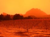Ecologistas en Accin senala que son necesarias medidas preventivas para abordar el grave episodio por intrusin de polvo sahariano