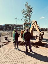 Águilas impulsa una alameda en el entorno de la Rambla de las Culebras para mejorar el entorno urbano