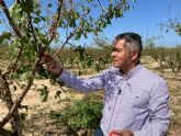 Cano: 'Snchez castiga continuamente al sector primario mientras Lpez Miras sigue comprometido con ayudas a agricultores y ganaderos'