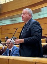 Bernabé: 'La ministra de Transportes miente porque no hay partida presupuestaria para electrificar la línea ferroviaria Cartagena-Chinchilla'