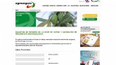 A partir del Plan 2021, el acceso de nuevos olivareros al seguro agrario ser ms sencillo