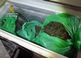 La Guardia Civil desarticula en Murcia un grupo delictivo dedicado al cultivo il�cito de marihuana