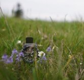 Cuatro retos para mejorar la conectividad en los alojamientos rurales