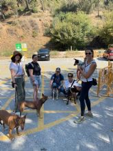 El 74% de la sociedad espanola est� dispuesta a cuidar de las mascotas de sus vecin@s para evitar el abandono animal