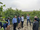 La Comunidad apoya a la plataforma AgritechMurcia en la apertura de nuevos mercados en Kazajistn, Uzbekistn y Georgia