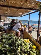 Melones a la orilla del mar y un bando de la huerta alcazareno