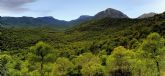 Ganar Totana defiende la Proteccin y Conservacin de nuestros espacios naturales, como es el caso de Sierra Espuña