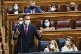 Pedro S�nchez: 'El Gobierno va a defender el inter�s de los ciudadanos por encima de cualquier inter�s y presi�n particular'