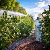Nueva oferta formativa para el sector agrario