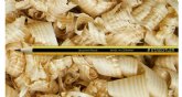 STAEDTLER transforma virutas de madera en l�pices para el inicio de curso