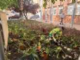 Jumilla avanza hacia un modelo de jardines y zonas verdes m�s sostenible y adaptado al clima para ahorrar agua