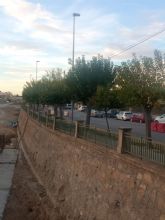 Nueva tala indiscriminada en Lorca