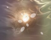 La concentracin de esperma de los varones se ha reducido a la mitad en solo 50 años, as lo afirma un estudio en el que participa la UMU