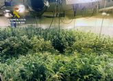 La Guardia Civil desmantela un nuevo invernadero con 850 plantas de marihuana en un dplex de Puerto de Mazarrn