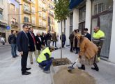 El Plan Foresta 2030 llega a los barrios de San Pedro, San Antoln y San Nicols con las primeras plantaciones de limoneros