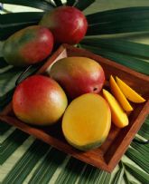 El Podcast 'Hablando con la Industria del Mango' alcanza su vig�sima segunda edici�n