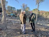 El Ayuntamiento acta contra los efectos de la sequa y para prevenir incendios en 30 hectreas de fincas forestales