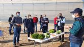 La Comunidad investiga nuevas variedades hortcolas para hacer frente al cambio climtico y atender las nuevas demandas de los consumidores