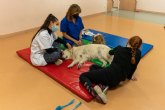 Purina, El Hospital Cl�nic de Barcelona y CTAC presentan los resultados de un estudio que confirma la eficacia de terapias asistidas con perros en menores de edad con trastornos de salud mental
